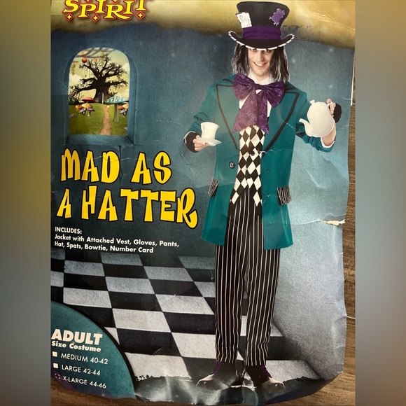 Spirit Teal and Purple Mad Hatter Costume - Picture 3 of 5